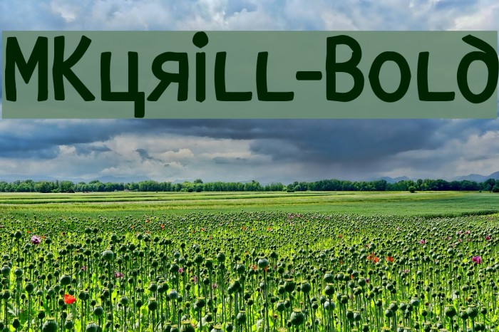 MKyrill-Bold Example 1