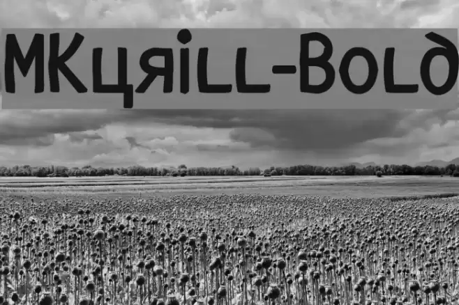 MKyrill-Bold Font examples