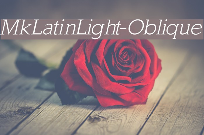 MkLatinLight-Oblique Font examples