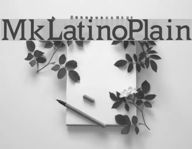 MkLatinoPlain Font examples
