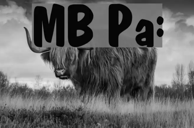 MktBold Plain: Font examples