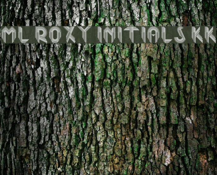 ML Roxy Initials KK Font examples