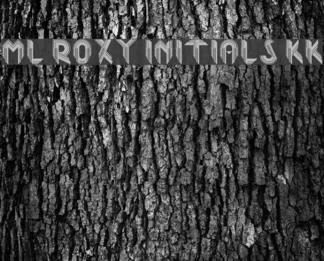 ML Roxy Initials KK Example 2