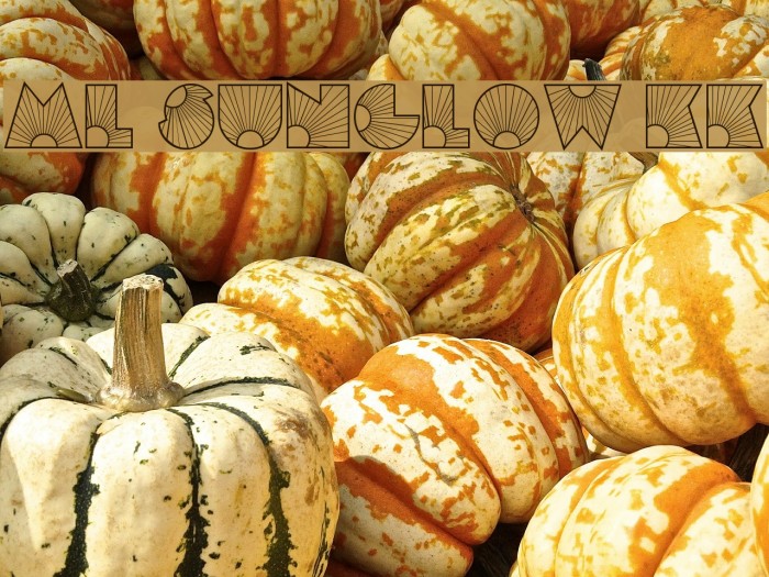 ML Sunglow KK Font examples
