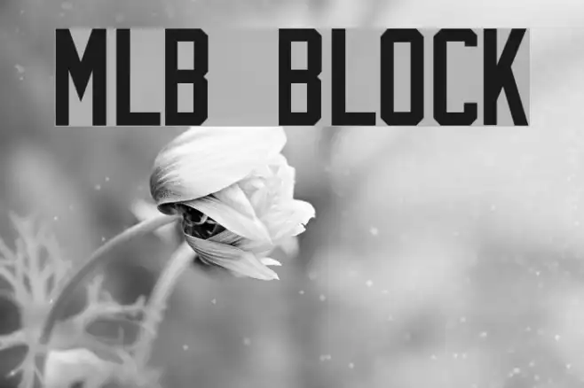 MLB Block Example 2