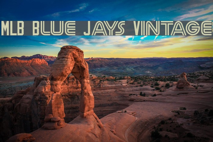 Mlb Blue Jays Vintage - Toronto Blue Jays Font, HD Png Download -  460x705(#6457139) - PngFind