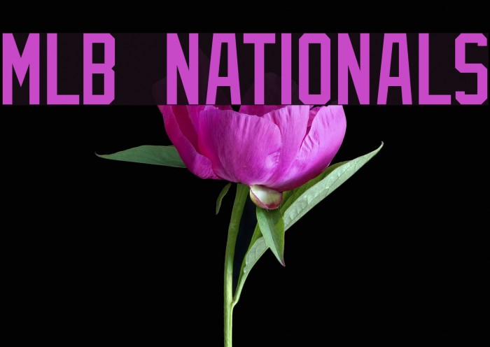 MLB Nationals Font examples