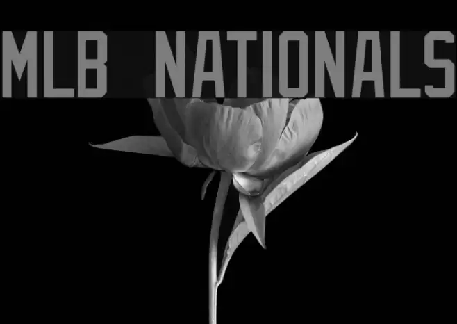 MLB Nationals Font examples