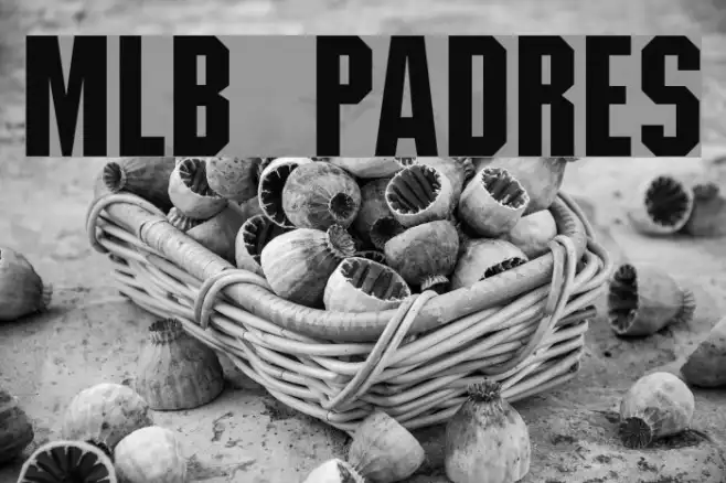 MLB Padres Example 1