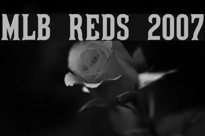 MLB Reds 2007 Example 1