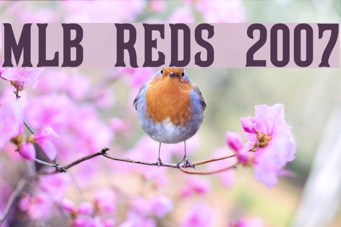 MLB Reds 2007 Font examples