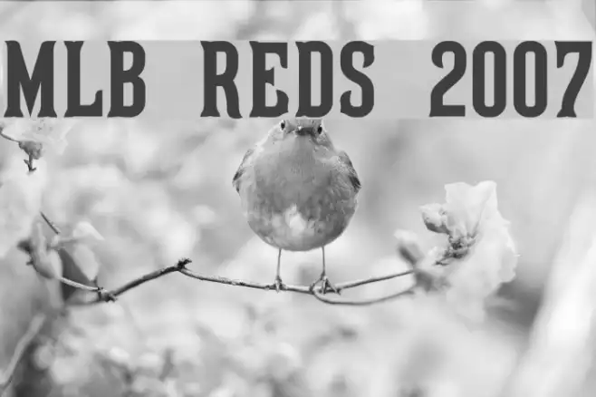 MLB Reds 2007 Example 2
