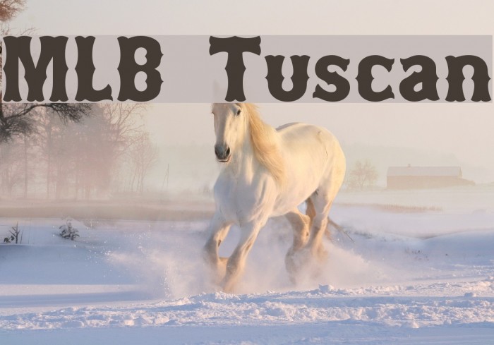 MLB Tuscan Font examples
