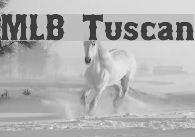 MLB Tuscan フォント examples