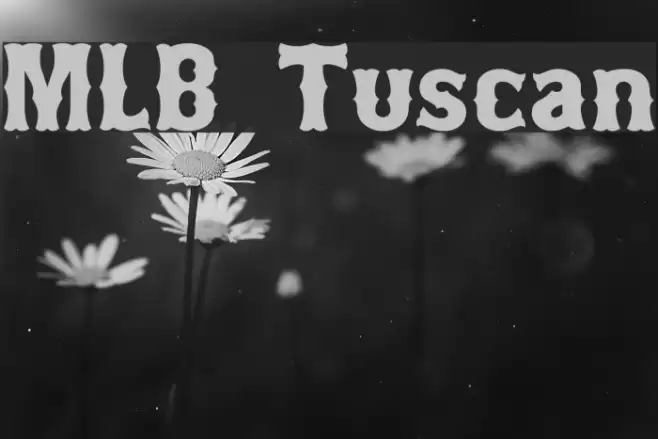 MLB Tuscan フォント examples