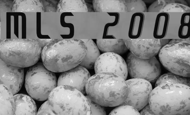 MLS 2008 Шрифта examples
