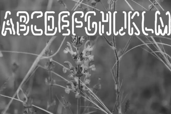 Mlurmlry Font examples