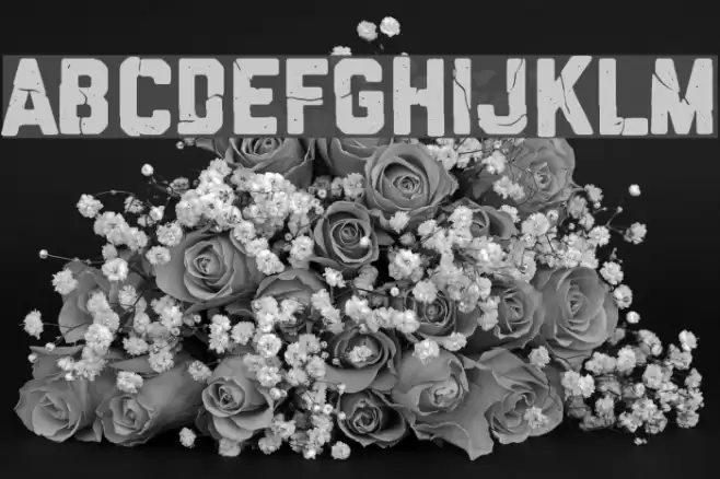 MMA champ Font examples