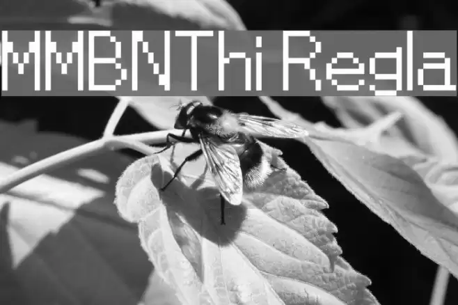 MMBNThin Regular Font examples