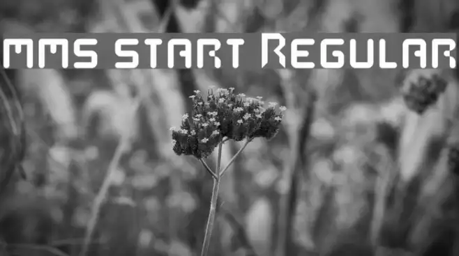 mms start Regular Example 2