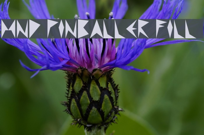 MND Pinballer Fill 1 Schriftart examples