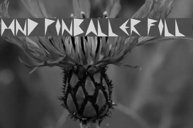 MND Pinballer Fill 1 Schriftart examples
