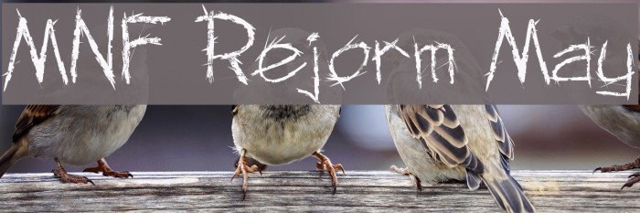 MNF Rejorm May Example 1