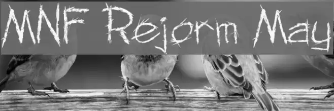 MNF Rejorm May Font examples