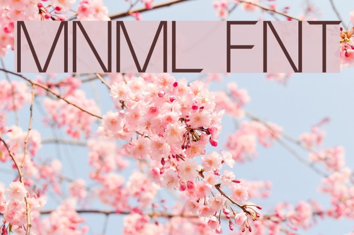 MNML FNT Font examples