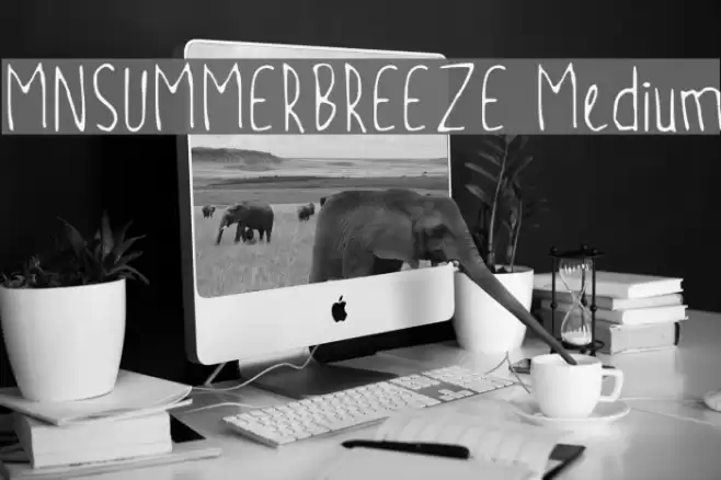 MNSUMMERBREEZE Medium Font examples