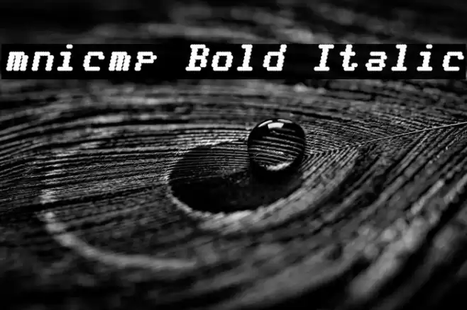 mnicmp Bold Italic Font examples