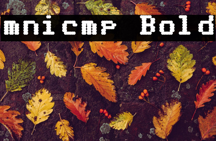 mnicmp Bold Example 1