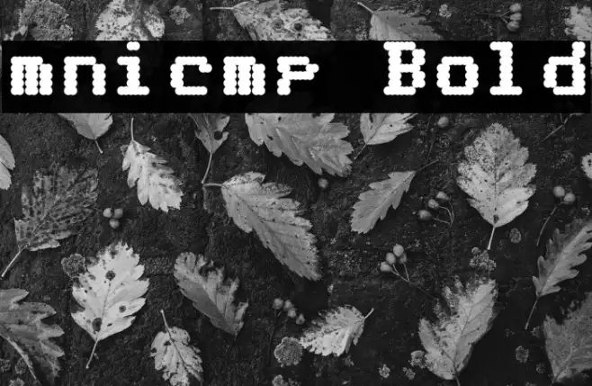 mnicmp Bold Example 1