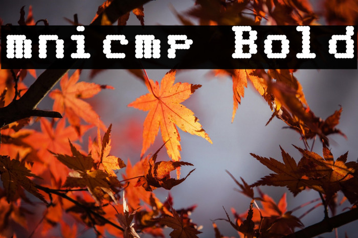 mnicmp Bold Example 2