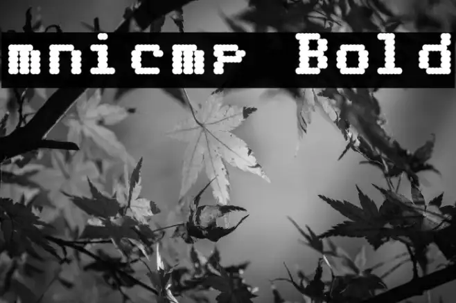 mnicmp Bold Example 2