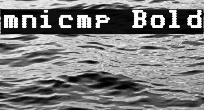 mnicmp Bold Example 3