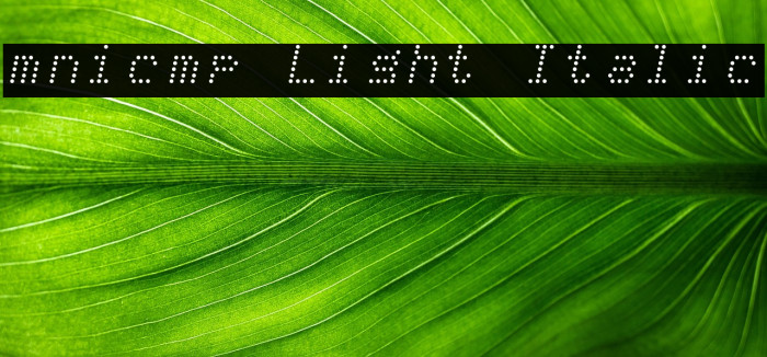 mnicmp Light Italic Example 1