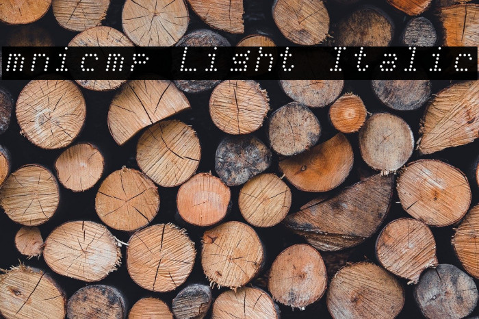 mnicmp Light Italic Example 2