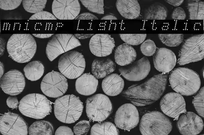 mnicmp Light Italic Font examples