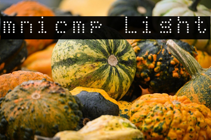 mnicmp Light Example 1