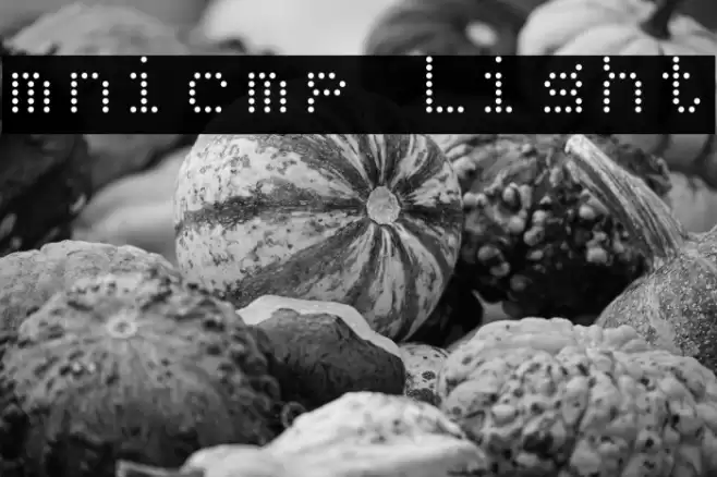 mnicmp Light Font examples