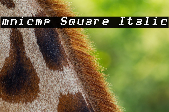 mnicmp Square Italic Example 2