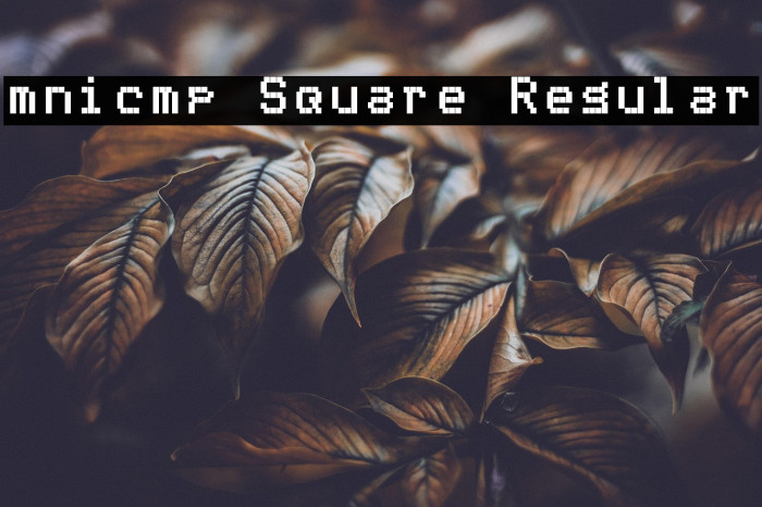 mnicmp Square Regular Example 2