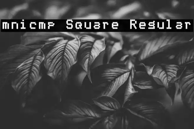 mnicmp Square Regular Example 2