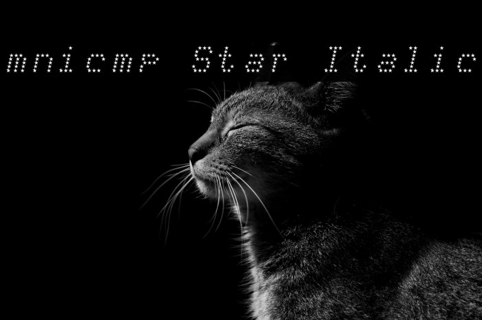 mnicmp Star Italic Example 1