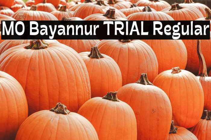 MO Bayannur TRIAL Regular Example 1