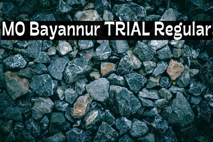 MO Bayannur TRIAL Regular Example 2