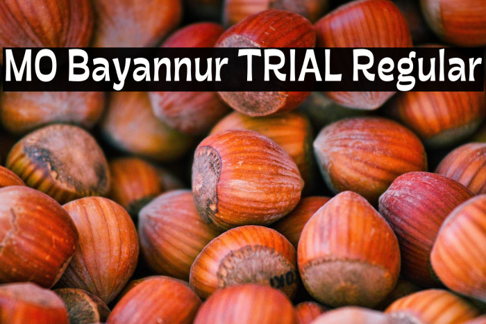 MO Bayannur TRIAL Regular Example 3