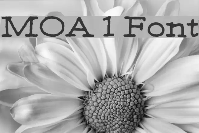 MOA 1 Font examples