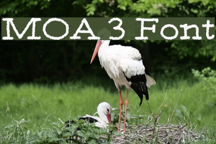 Moa727238a. 1/2 моа на 100 метров. Размер прицельной точки что это. Прицельная марка 4 моа на 100 метров. 2-3 моа.